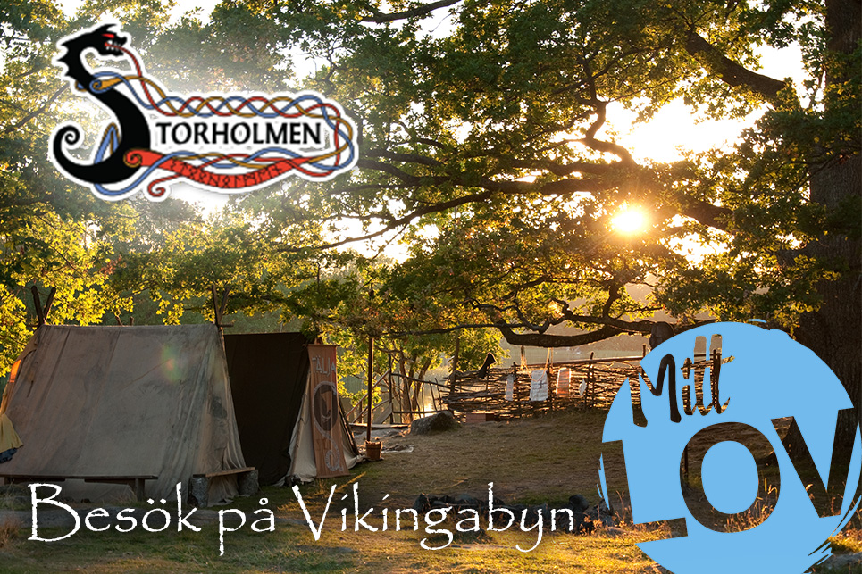Besök Vikingabyn