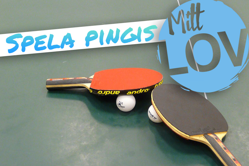 Spela pingis