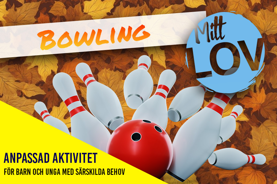 Bowling (anpassad aktivitet)