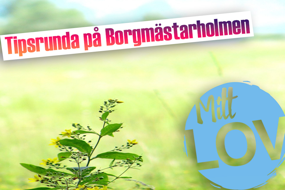 Tipsrunda på Borgmästarholmen