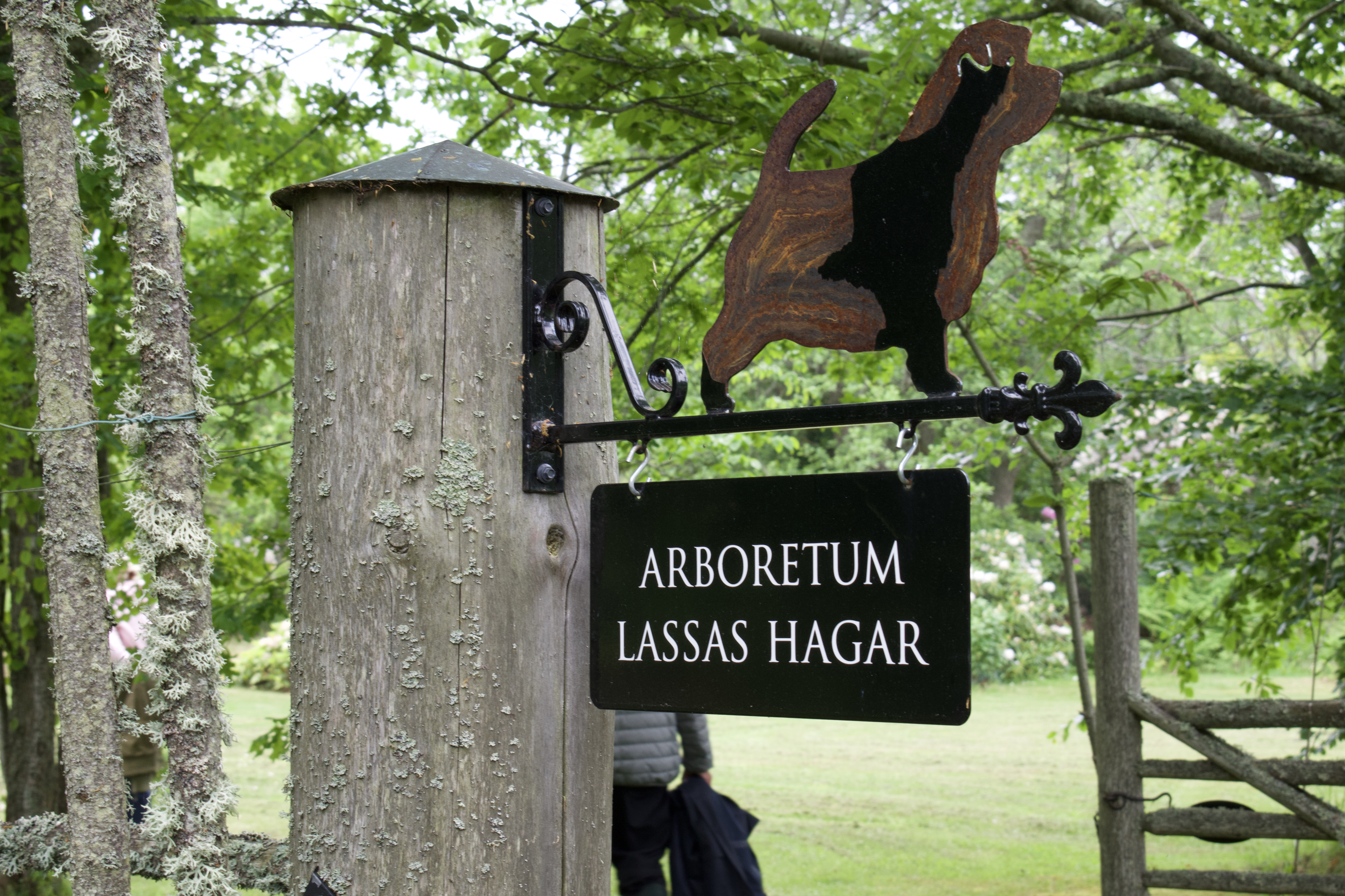 Upplev Lassas Hagar, arboretum 