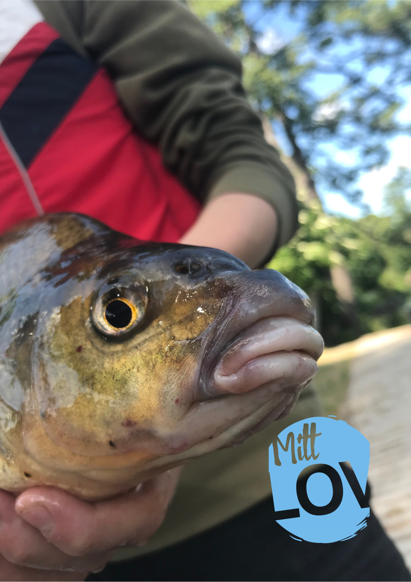 Prova på fiske med Sportfiskarna och Mitt Lov