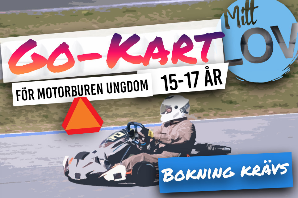 Gokart