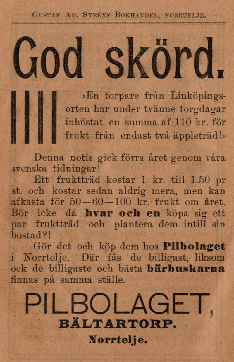 Annons om Pilbolaget och att man kan köpa fruktträd och bärbuskar från Pilbolaget. Annonsen är från 1902.