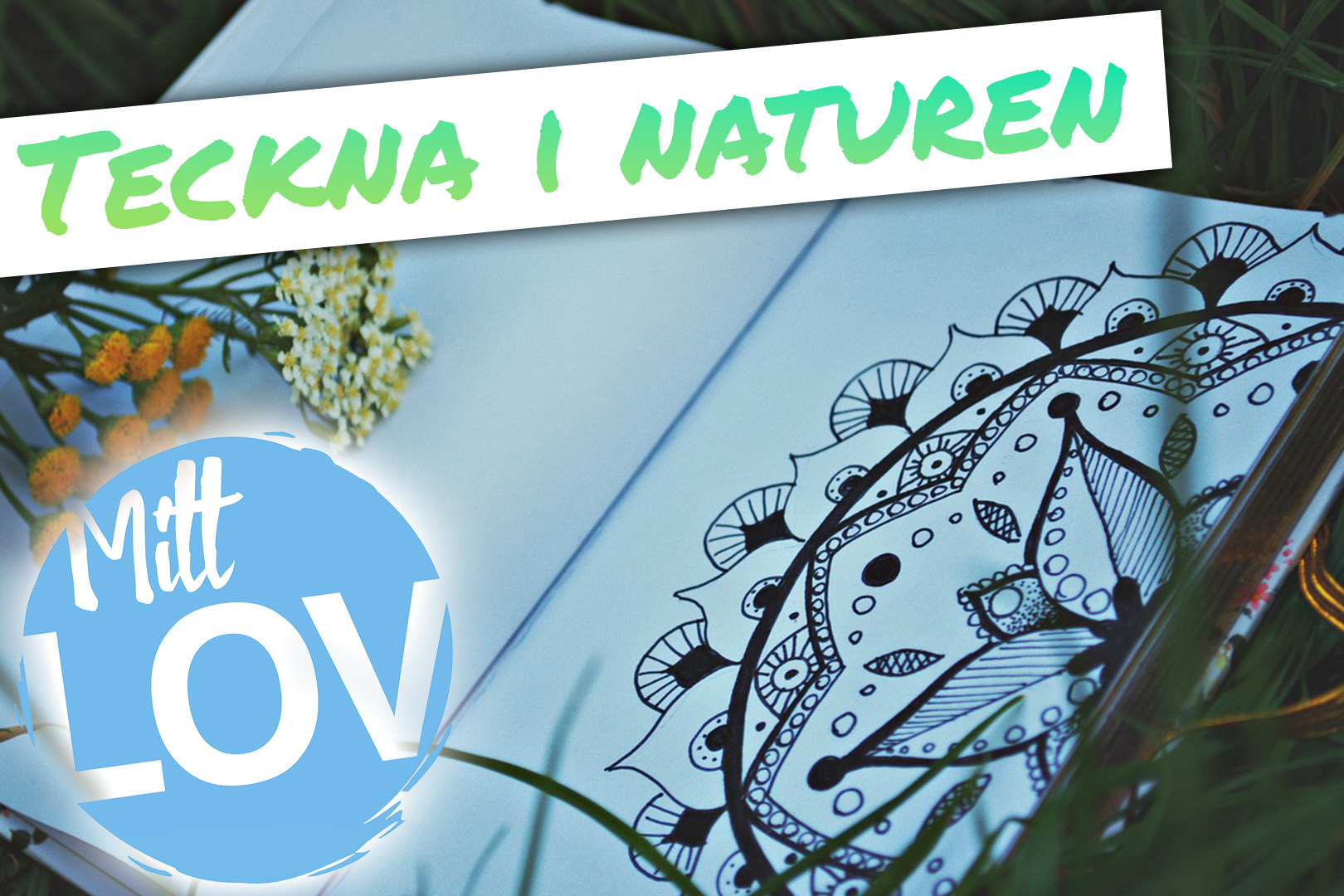 Teckna i naturen