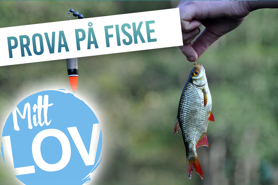 Fiske