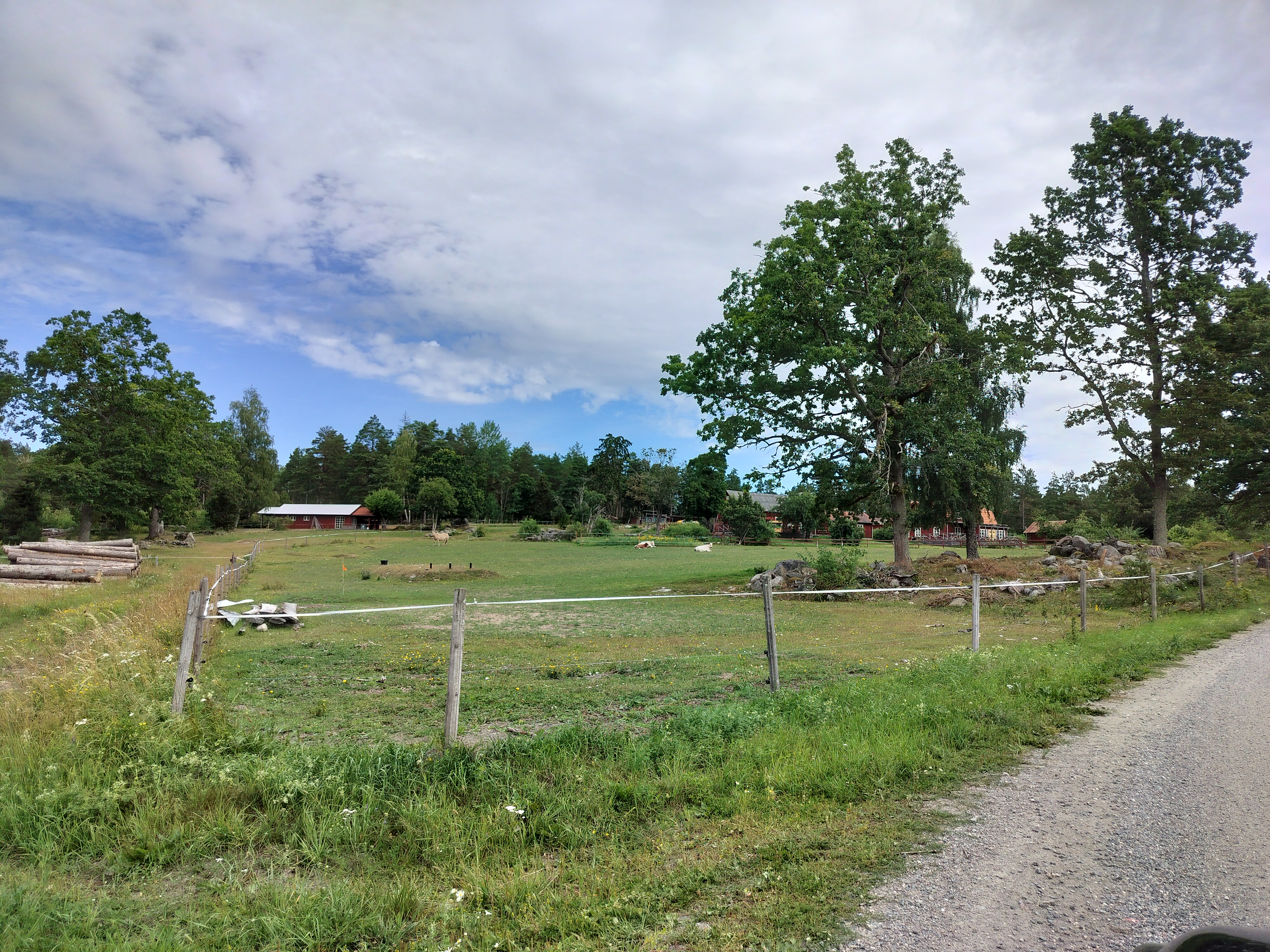 Sommarloppis på Blidsta gård
