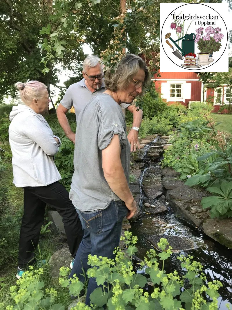 Öppen trädgård hos Ylva och Kjell Mattson - Sätuna
