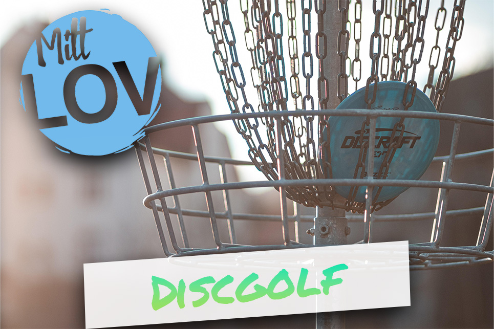 Discgolf