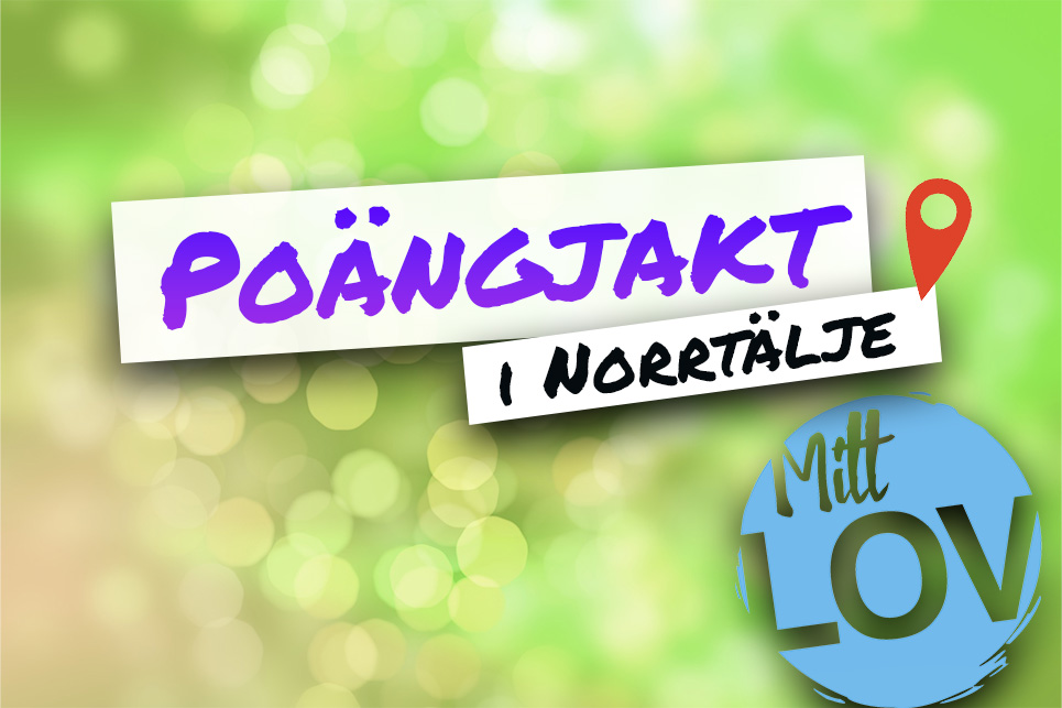 Poängjakt