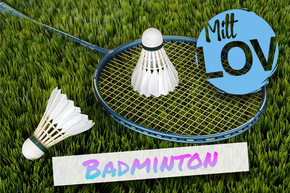 Badminton i aktivitetsparken