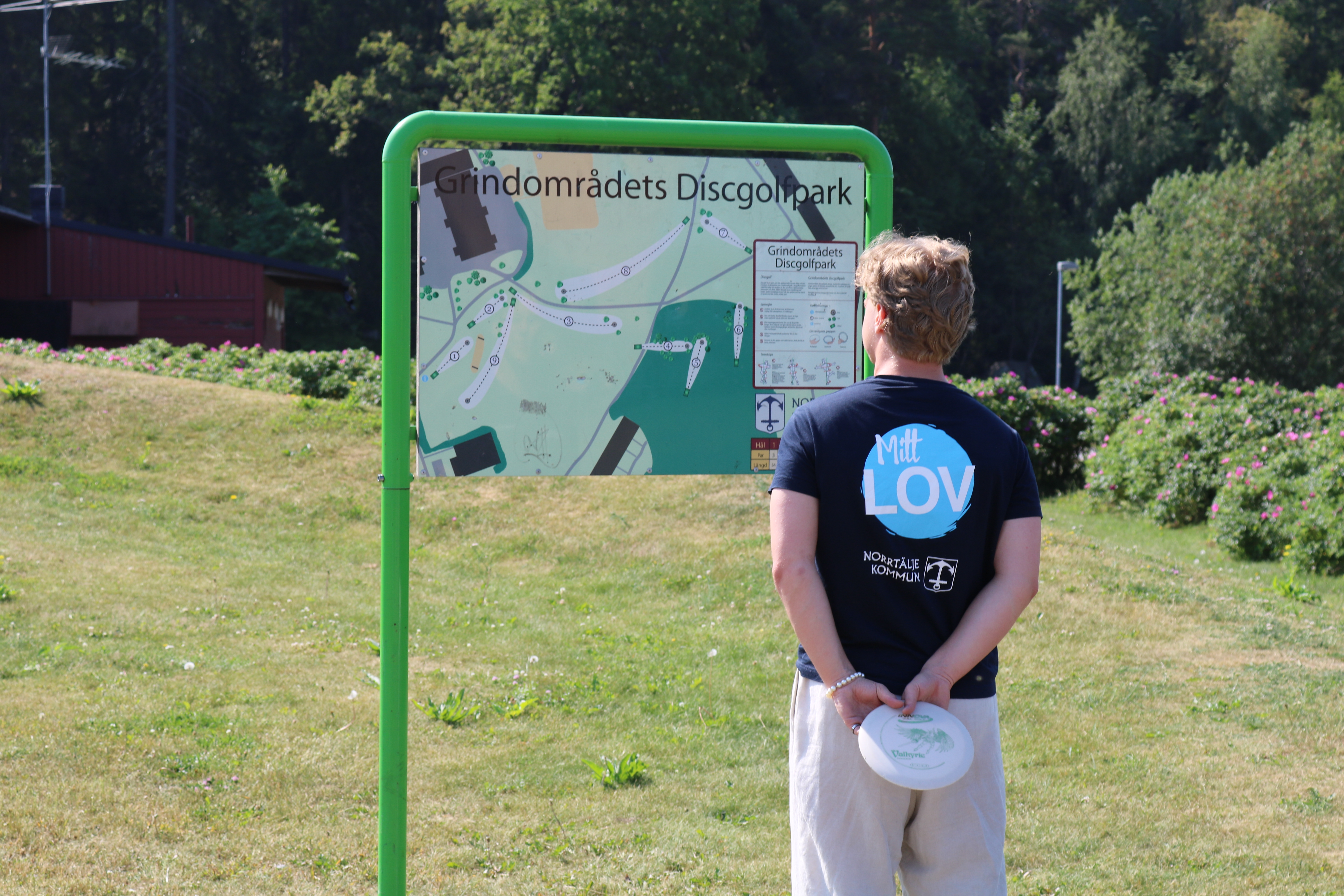 Discgolf