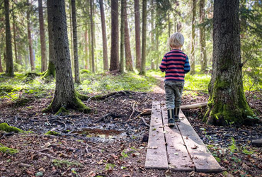 Ett barn går på en spång över ett dike mot en solig skog