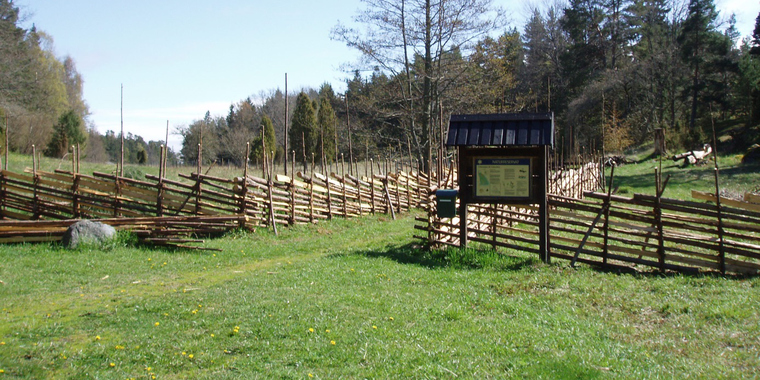 Foto Josefin Sundberg