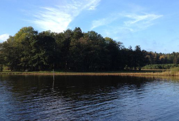En ö med skog och vatten i förgrunden