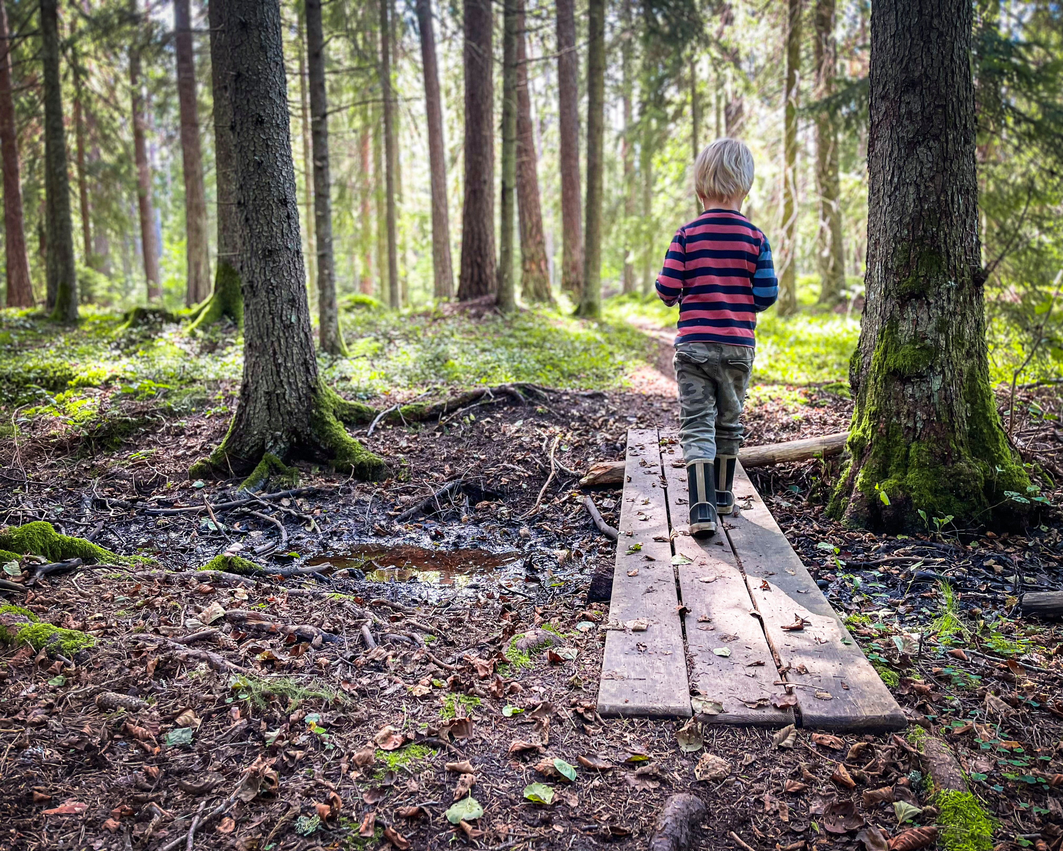 Barn som går i en skog