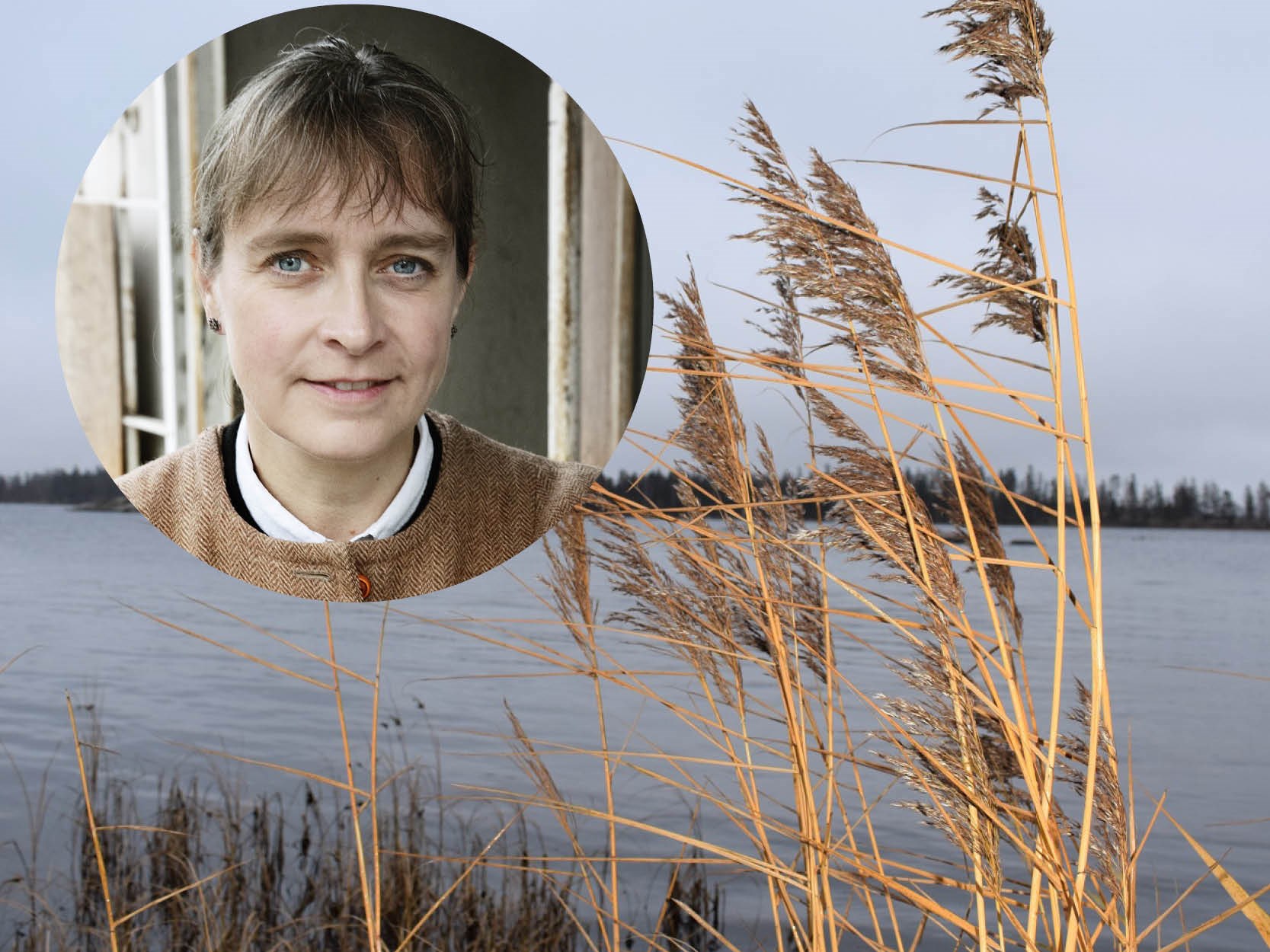 Nina Wormbs: professor i teknikhistoria på KTH 