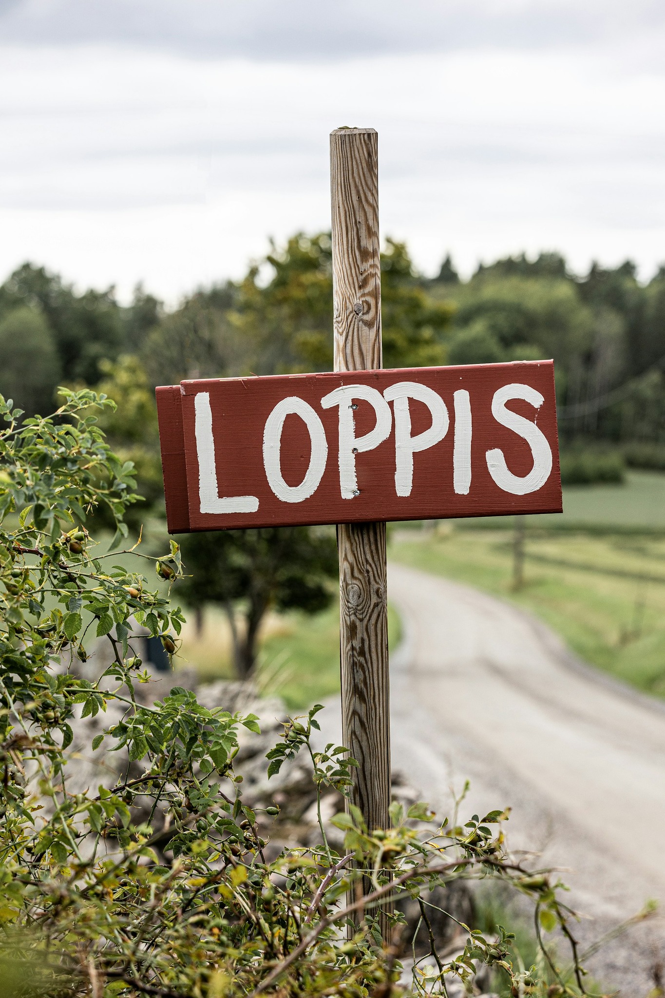 Loppis
