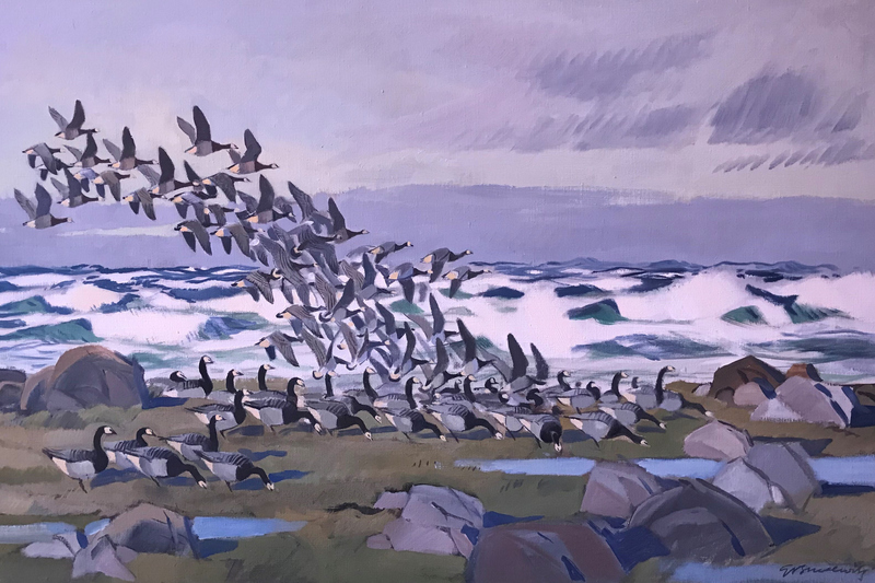 Bilden visar konstverket "Vitkindade gäss" av Gunnar Brusewitz. Bilden visar en flock vitkindade gäss betar gräs samt flyger över ett landskap med ett stormande hav i bakgrunden.