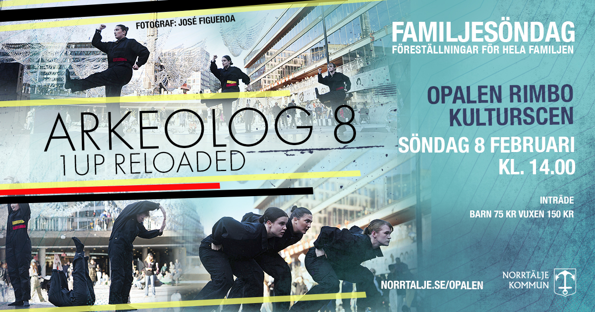 Danskollektivet Arkeolog 8 dansar i tre olika stilblider