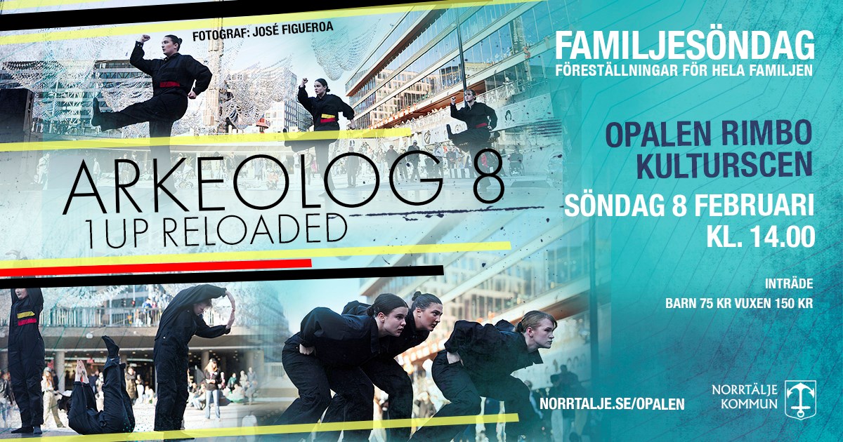 Danskollektivet Arkeolog 8 dansar i tre olika stilblider