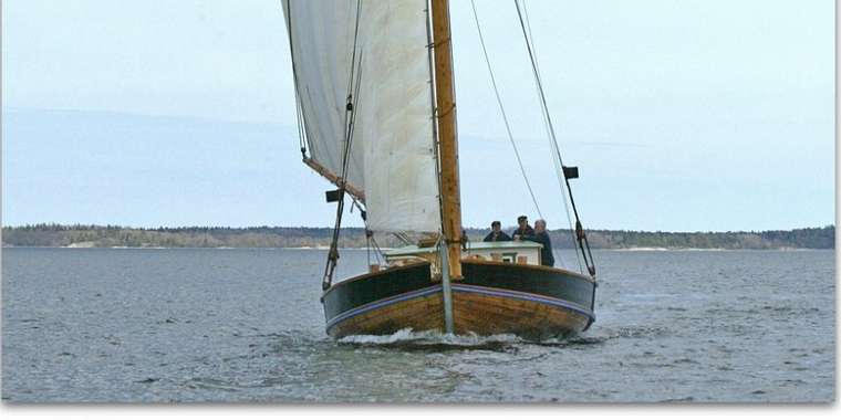 Föreningen Helmis Vänner.