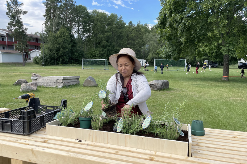 Planteringar vid Kusbyv&auml;gen