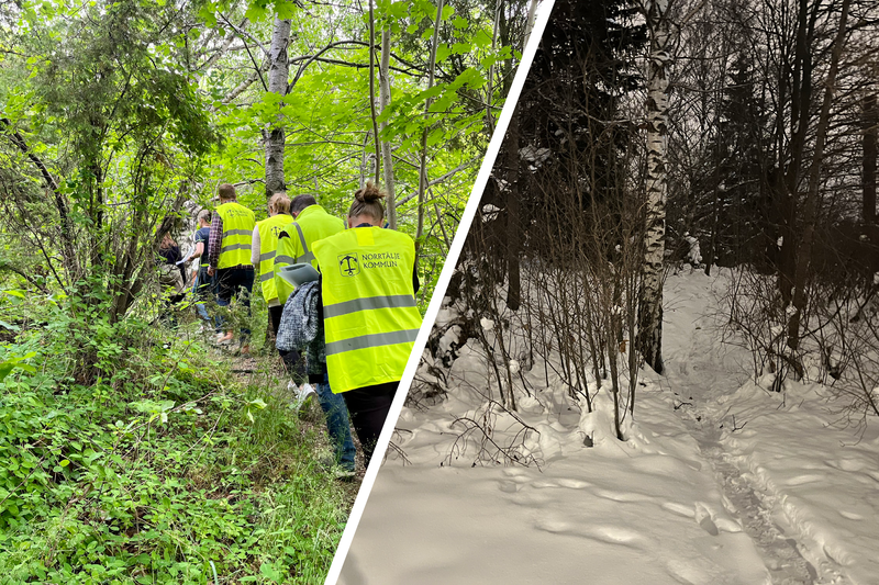 Grönska till vänster och vinterskrud till höger
