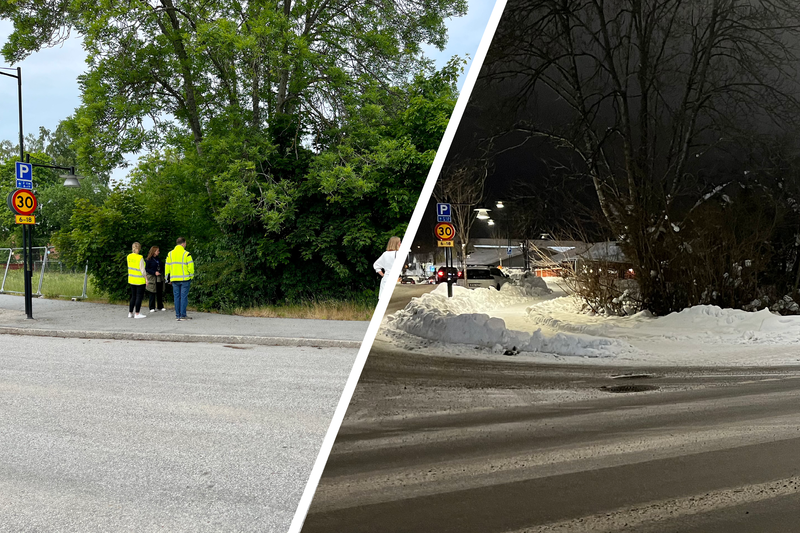 Samma område i grönska och vinterskrud