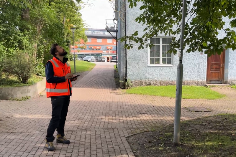 En man i orange väst tittar upp i en trädkrona