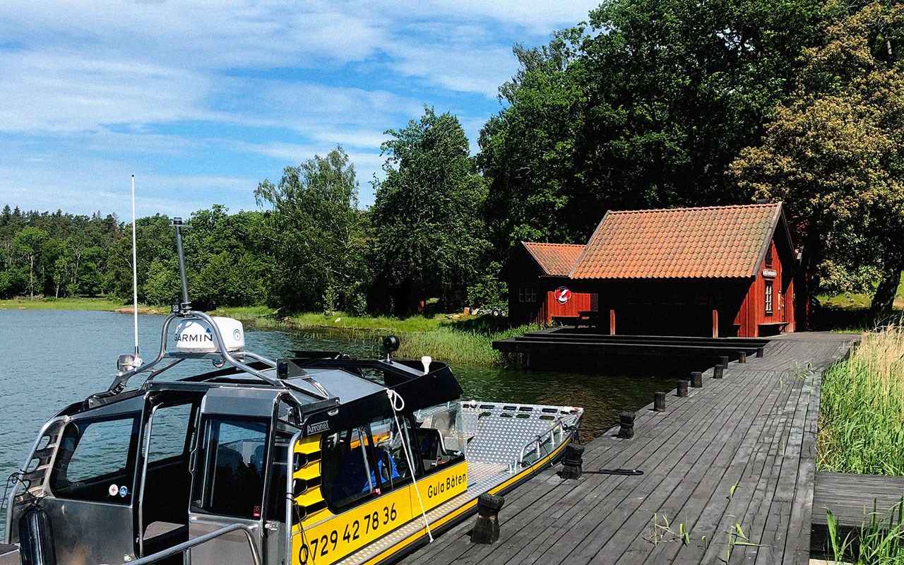 Vårblommor Ängsö Nationalpark (foto: Jonathan Stenvall)