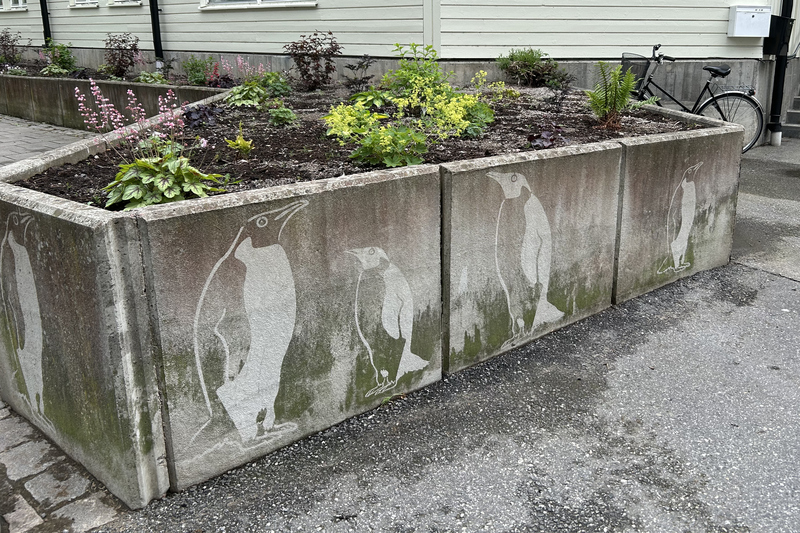 Pingvinger målade på sten runt en rabatt i Norrtälje stad