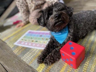 Hunden Åke ligger bredvid en stor röd tärning
