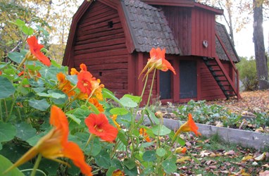 Hjertquistska gården på Roslagsmuseets gård.