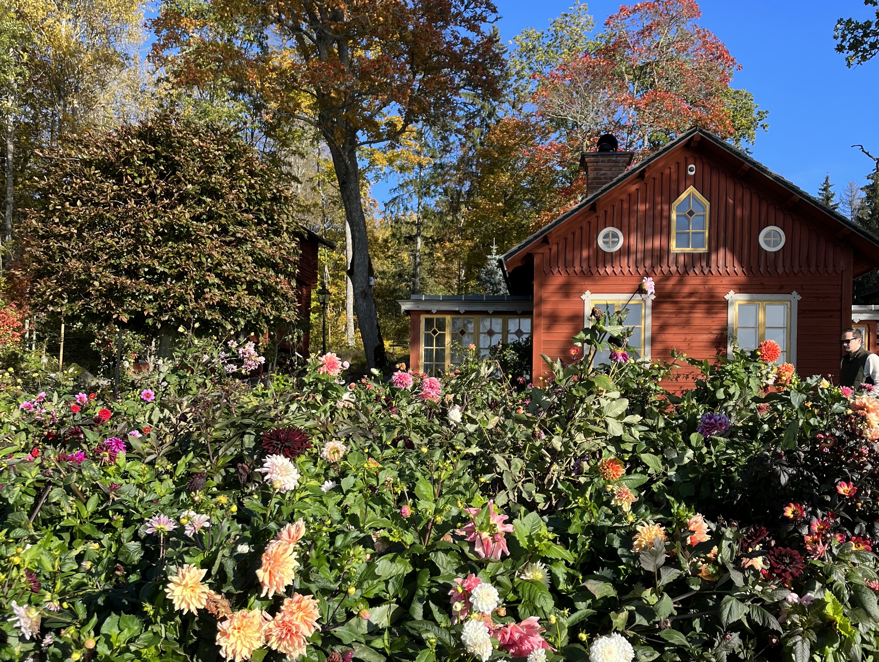 Marknad och fest på Hammartorps Trädgårdar