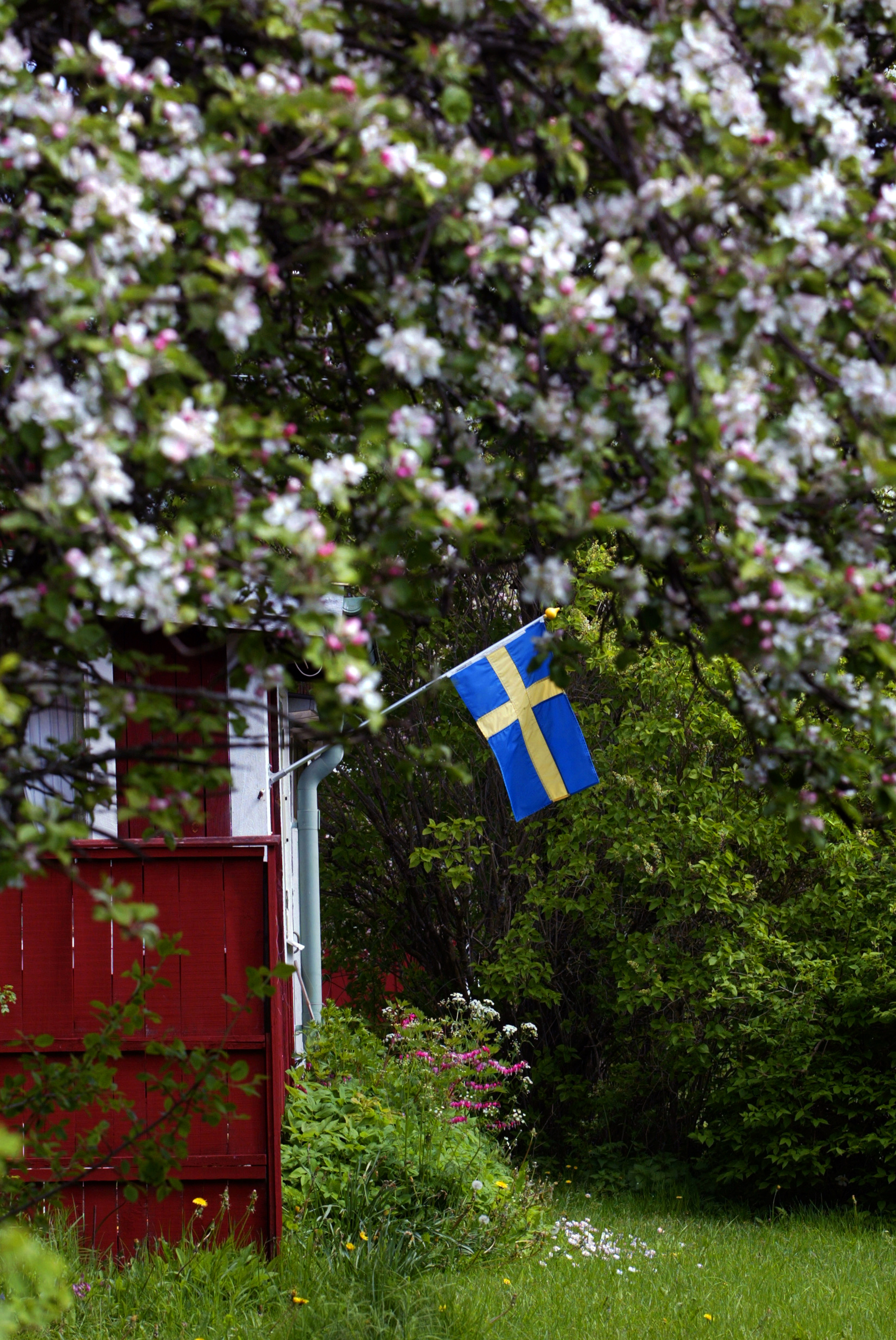 Foto: Roine Carlsson 