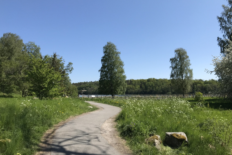 Grönområde med grusväg som slingrar sig genom landskapet. Gärdesgård och vatten i bakgrunden.
