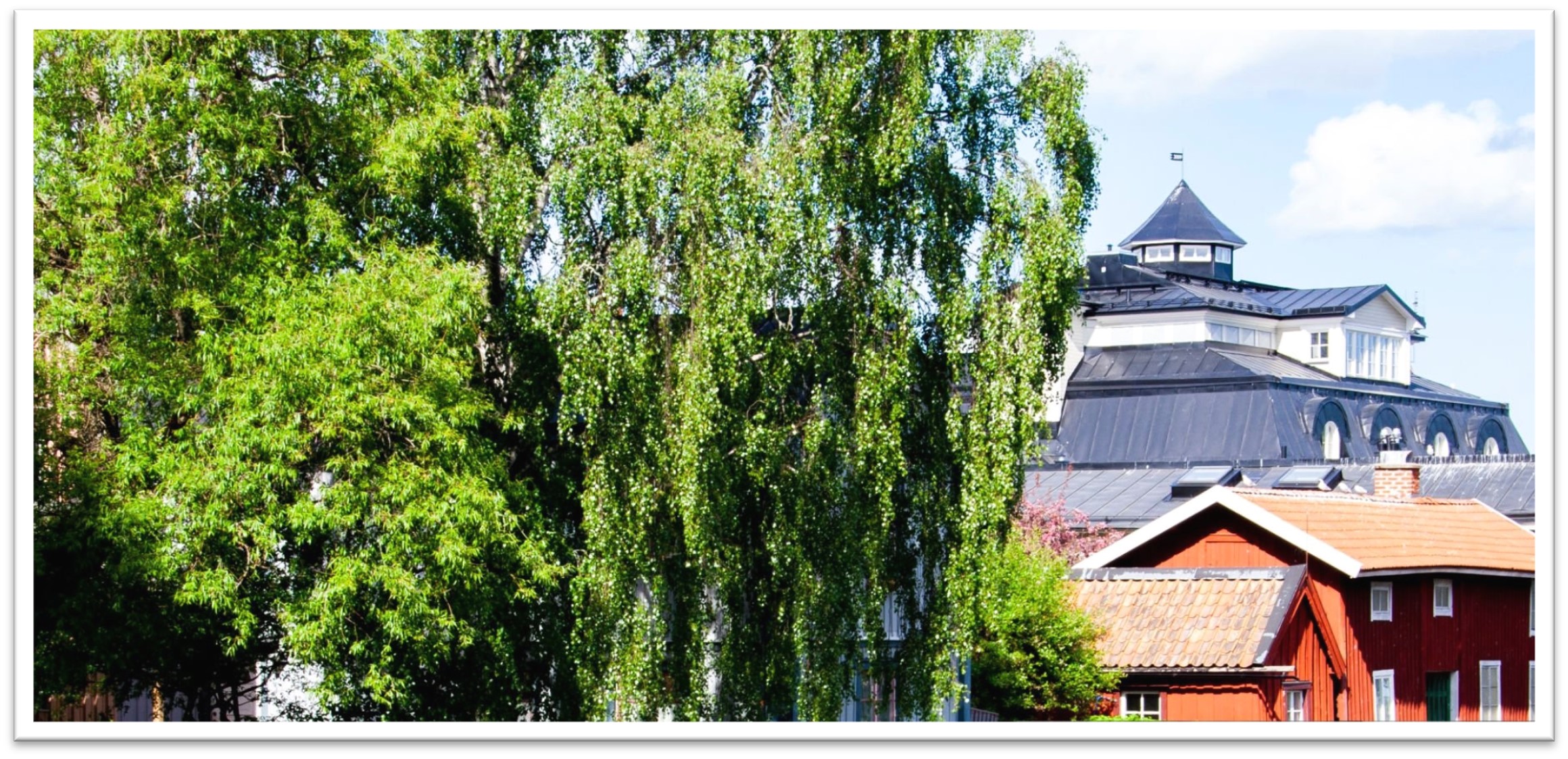 Björkars lövverk samt hus från Norrtälje stad