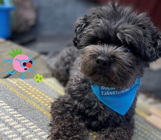 Åke sittandes på en matta. Bibliotekets maskot sparkar boll intill.
