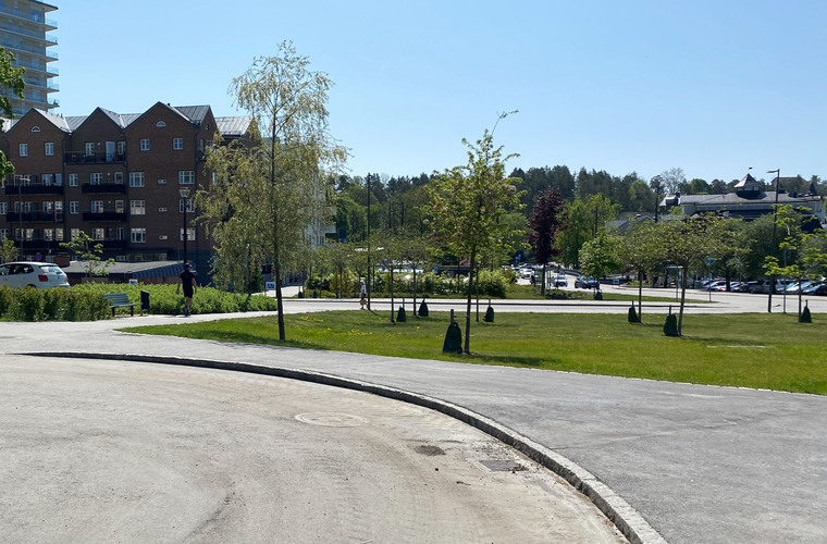 Bilden visar en vy över Kärleksparken i Norrtälje.