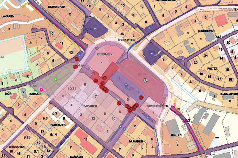 Här för man plocka sommarblommor