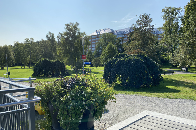 Bilden visar en vy av en del av Societetsparken i Norrtälje stad vid Norrtäljeån. På bilden ser man parkbänkar, buskar och träd.