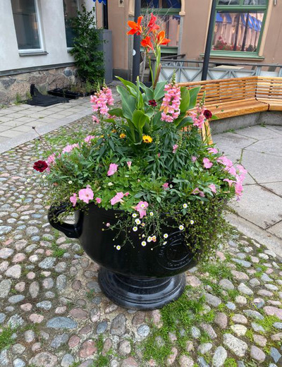 Urna med 2025 sommarblommor