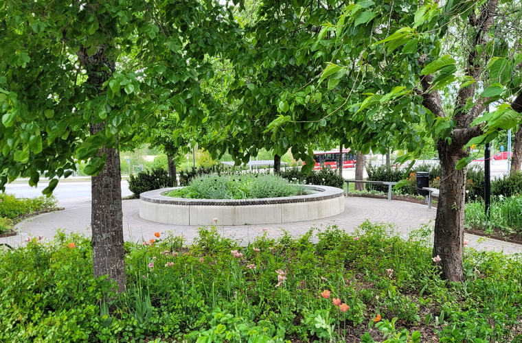 Bilden visar Tulkaparken i Hallstavik. På bilden ser man planteringar med perenner och parkbänkar där man kan vila sig i skuggan av ett träd.
